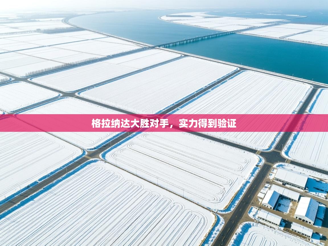 格拉纳达大胜对手,实力得到验证 第2张