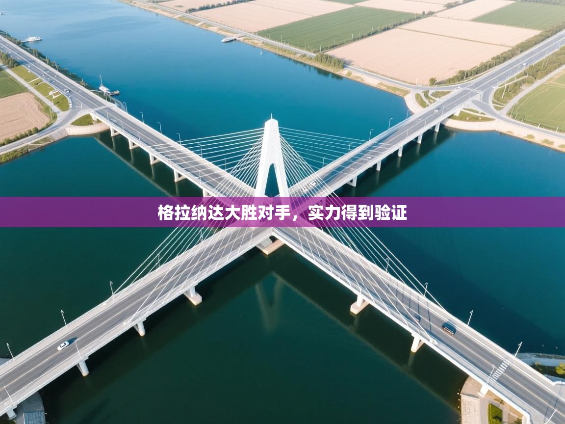 格拉纳达大胜对手,实力得到验证 第1张